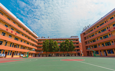 学校全景